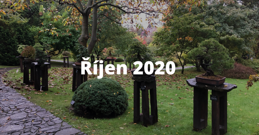 Říjen 2020 – report 11 rijen 2020 2